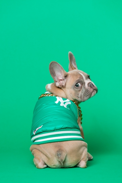 karsten-winegeart-Bt1ayfWL8h0-unsplash;;