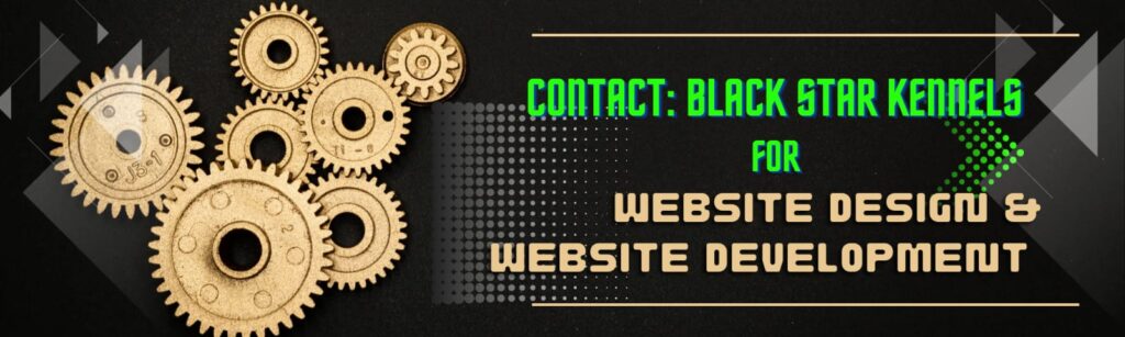 Black Star Kennels - Web Designing Services