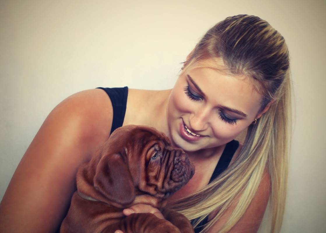 French Mastiff Price in Dehradun 2024 [Uttarakhand] [Puppy/Dog