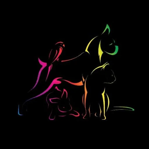 About Black Star Kennels